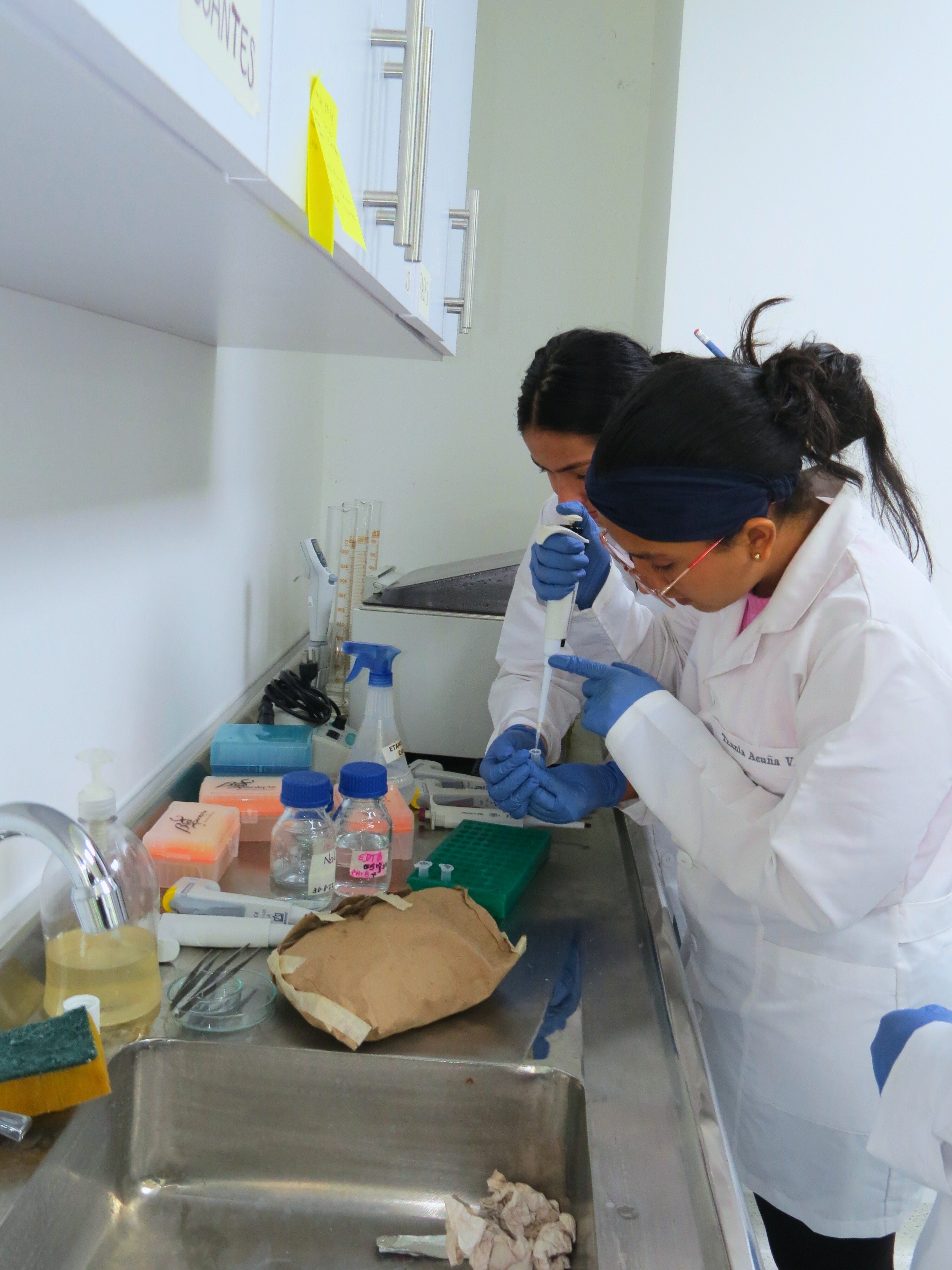 Imagen de apoyo, Facultad de Ciencias Exactas y Naturales