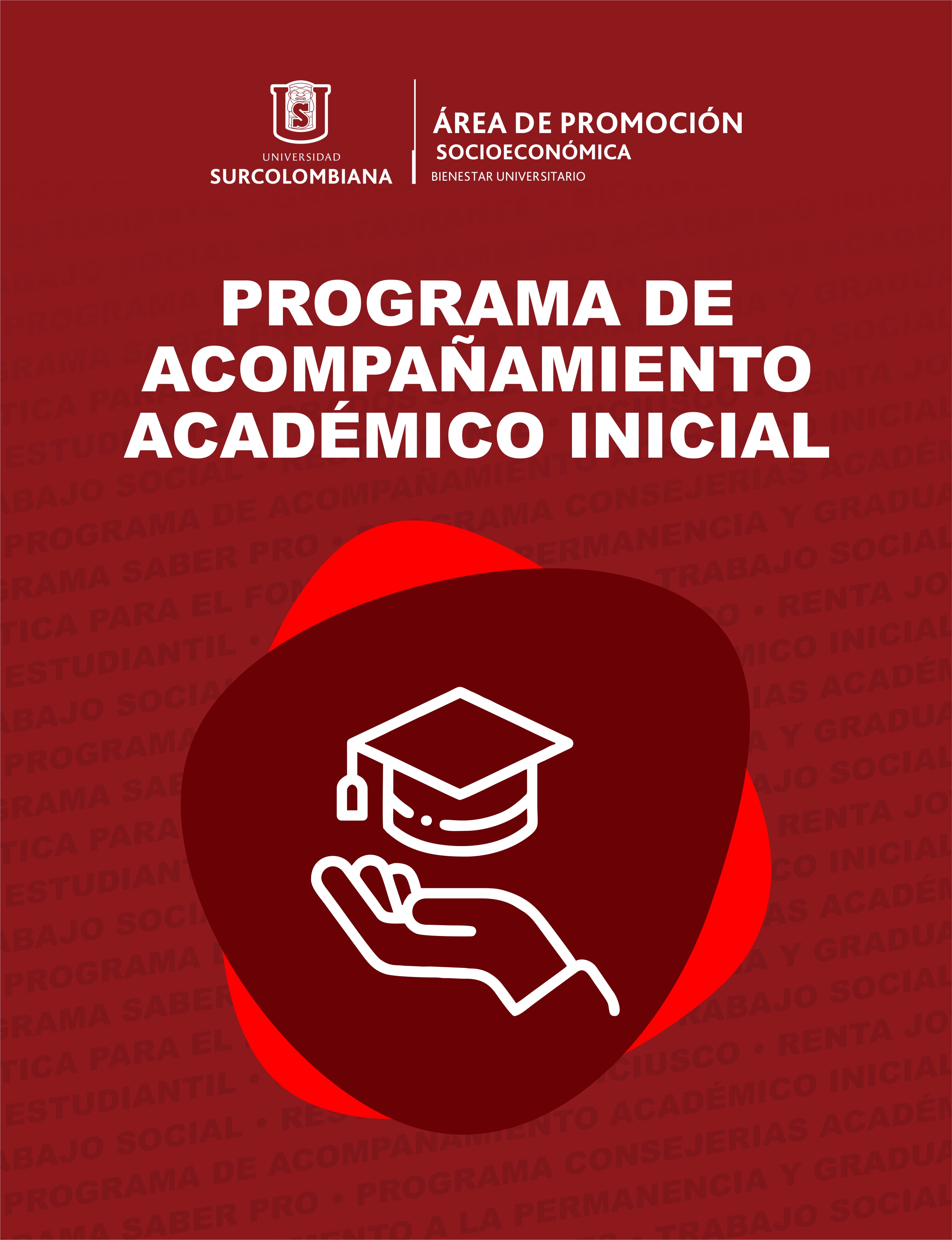 Promoción Socioeconómica